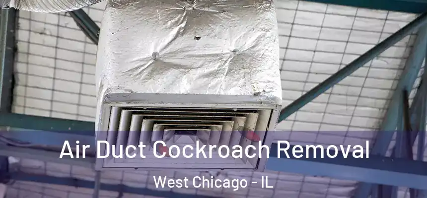 Air Duct Cockroach Removal West Chicago - IL