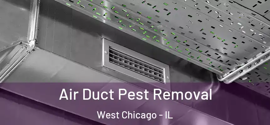 Air Duct Pest Removal West Chicago - IL