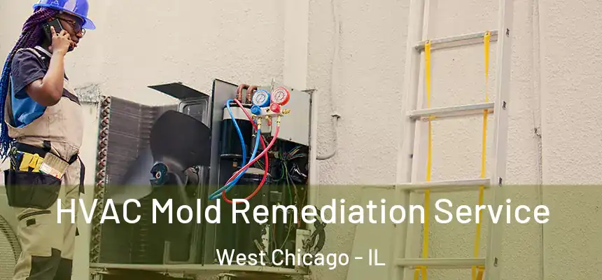  HVAC Mold Remediation Service West Chicago - IL