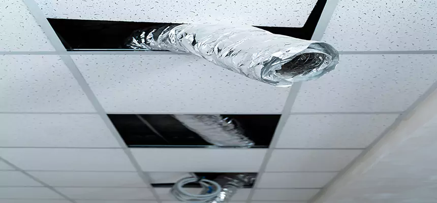 Our Air Duct Pet Hair Removal Services in West Chicago, IL