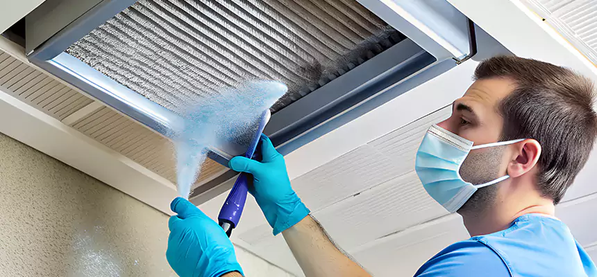Proactive Dryer Vent & Auxiliary Duct Pollen Cleanup in West Chicago, IL