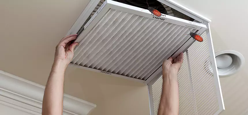 Our Insect Removal from Air Ducts Services in West Chicago, IL