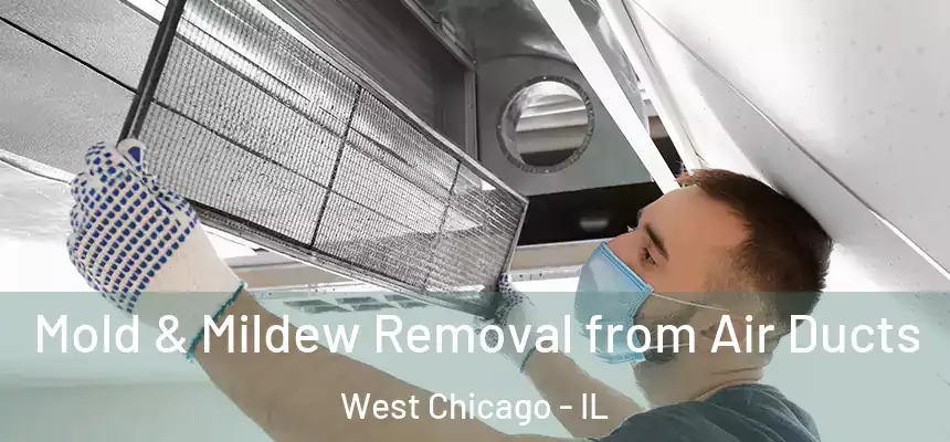  Mold & Mildew Removal from Air Ducts West Chicago - IL