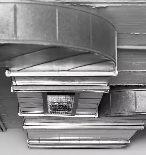 Professional Air Duct Pet Hair Removal in West Chicago, IL