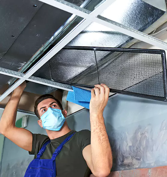 Professional Air Duct Pollen Cleaning in West Chicago, IL