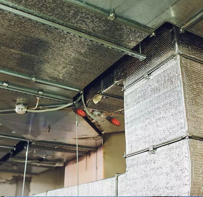 Why Homeowners & Businesses Trust Us in West Chicago, IL?