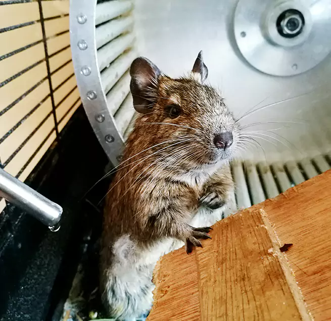 Why Homeowners & Businesses Trust Us West Chicago, IL