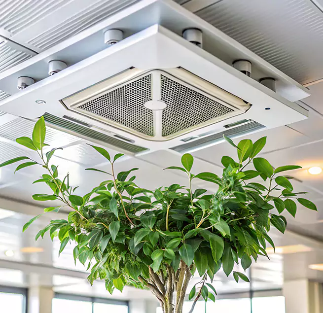 Why Homeowners & Businesses Trust Us in West Chicago, IL